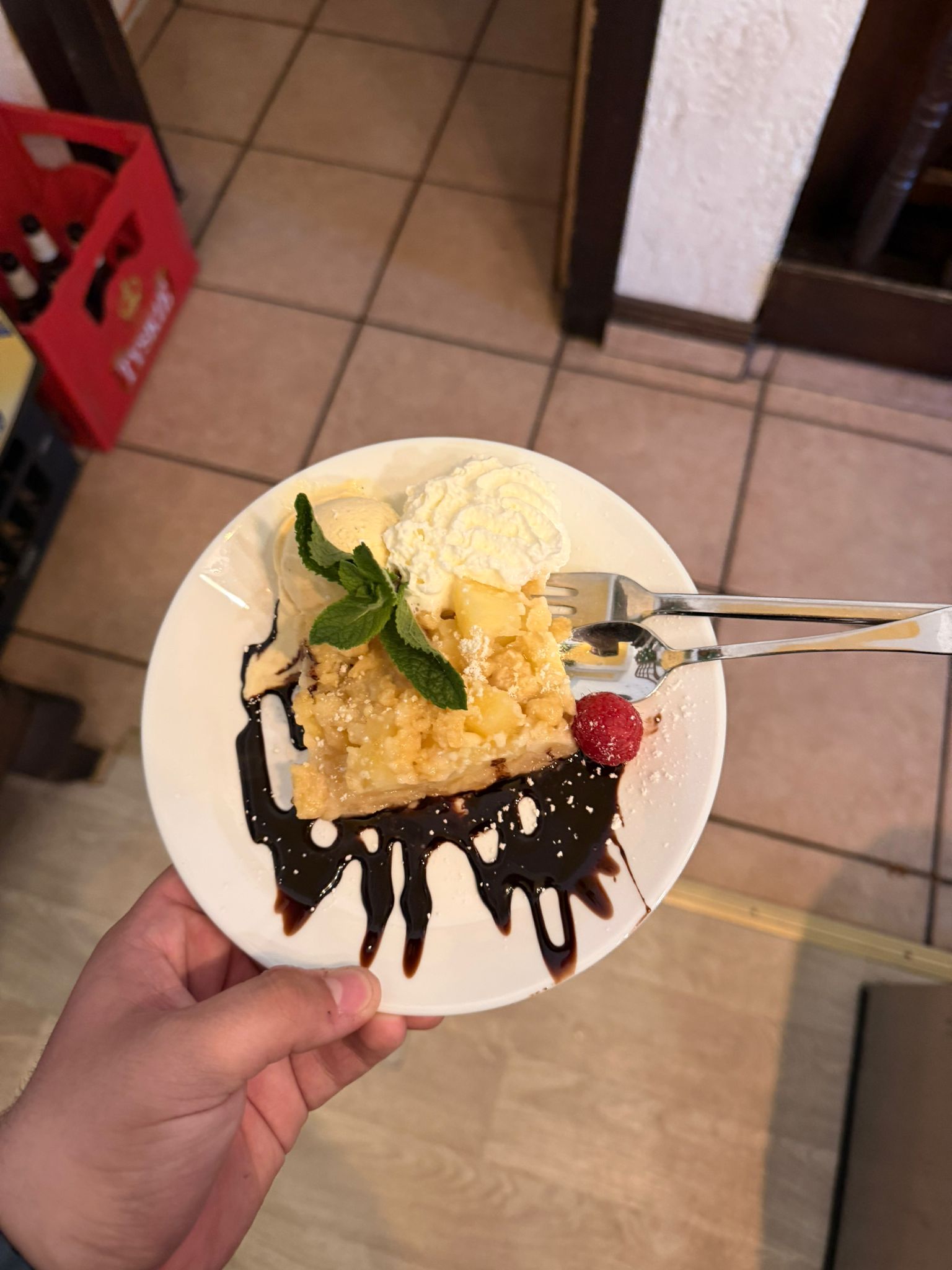 Hand haelt Teller mit Kuchen, Sahne, Minze und Schokosauce, neutraler Ausdruck
